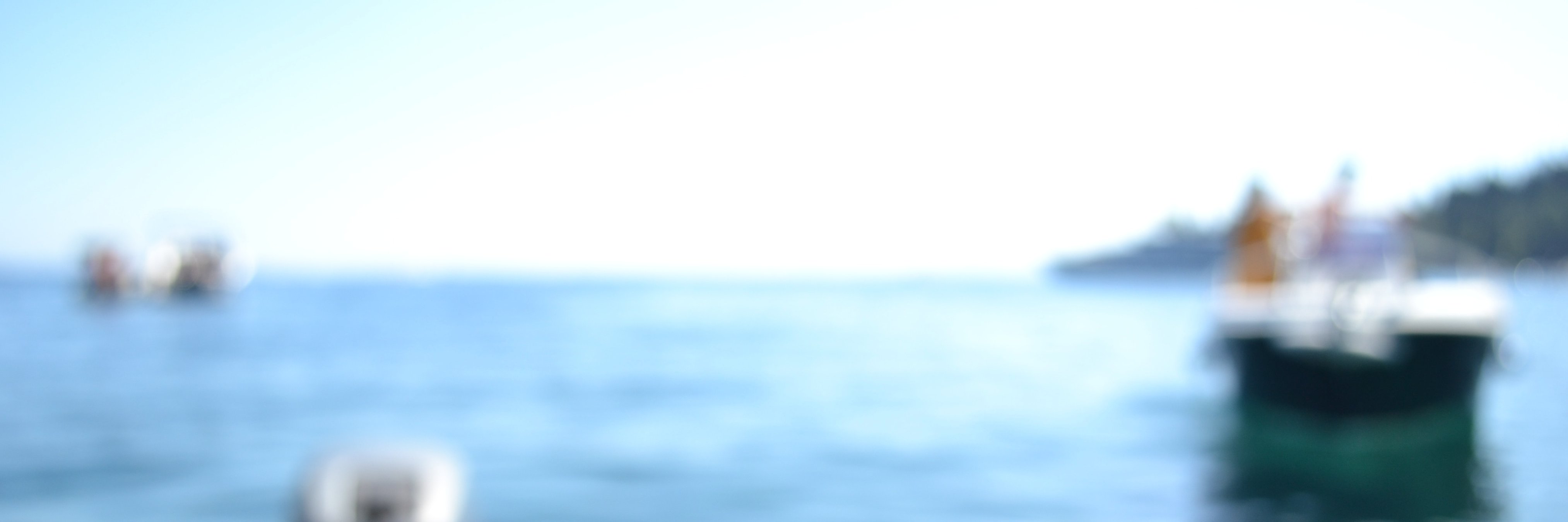 Milan Stankovic banner