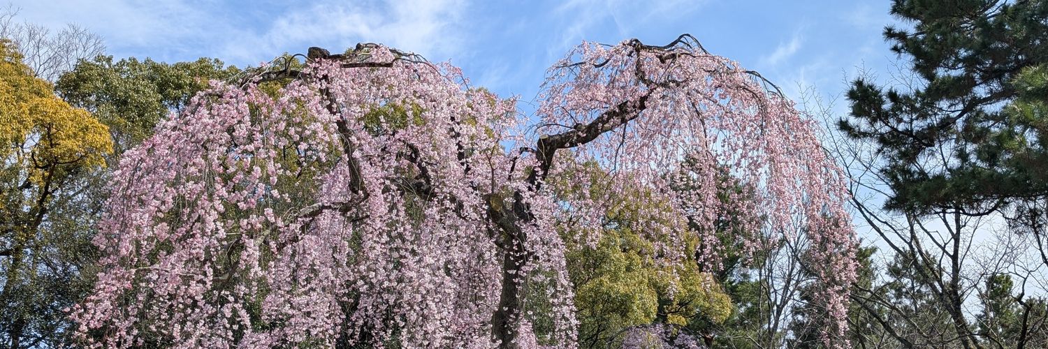luchekun's profile banner image
