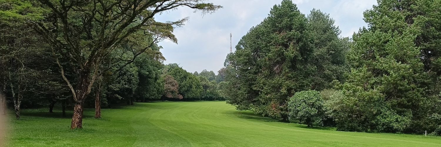 Rwambo's profile banner image