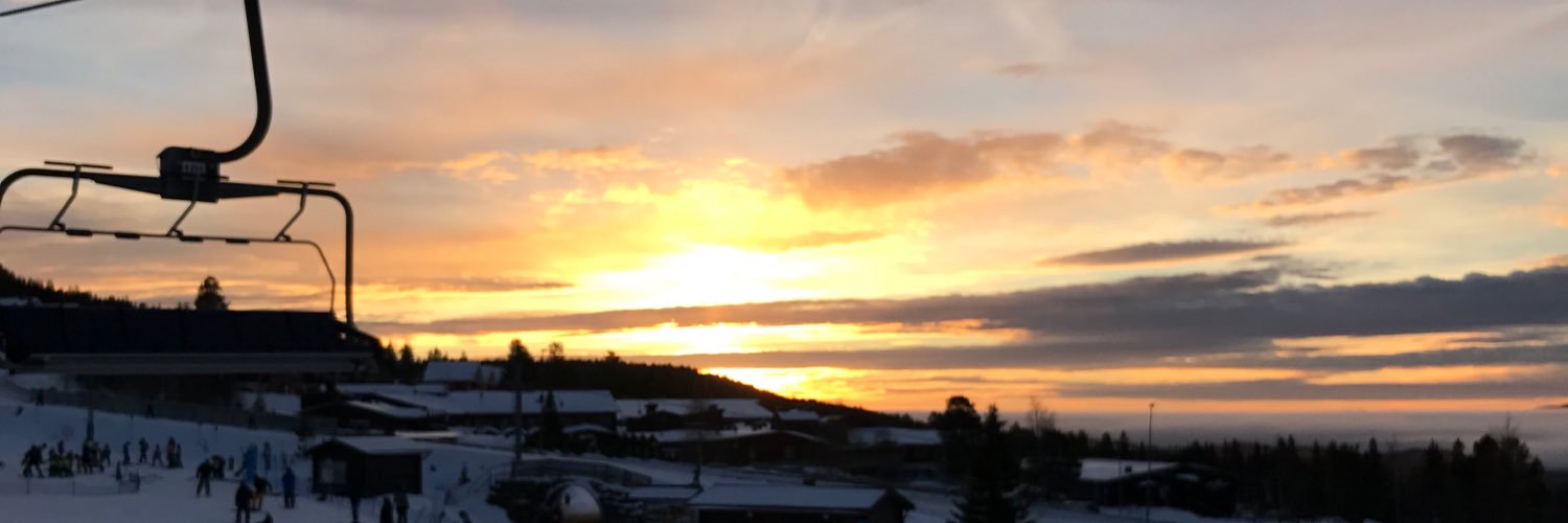 eliinbsson's profile banner image