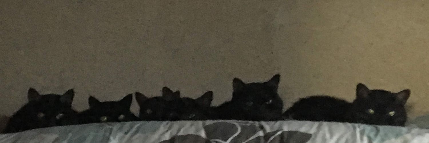 zoo_'s profile banner image
