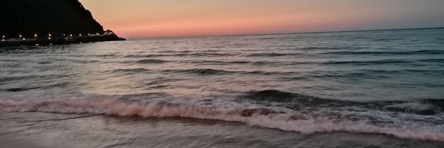 s1n2l3's profile banner image