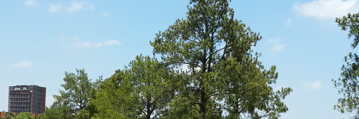 Doomszt's profile banner image