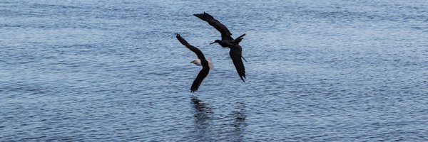 Ivanovick65 Profile Banner