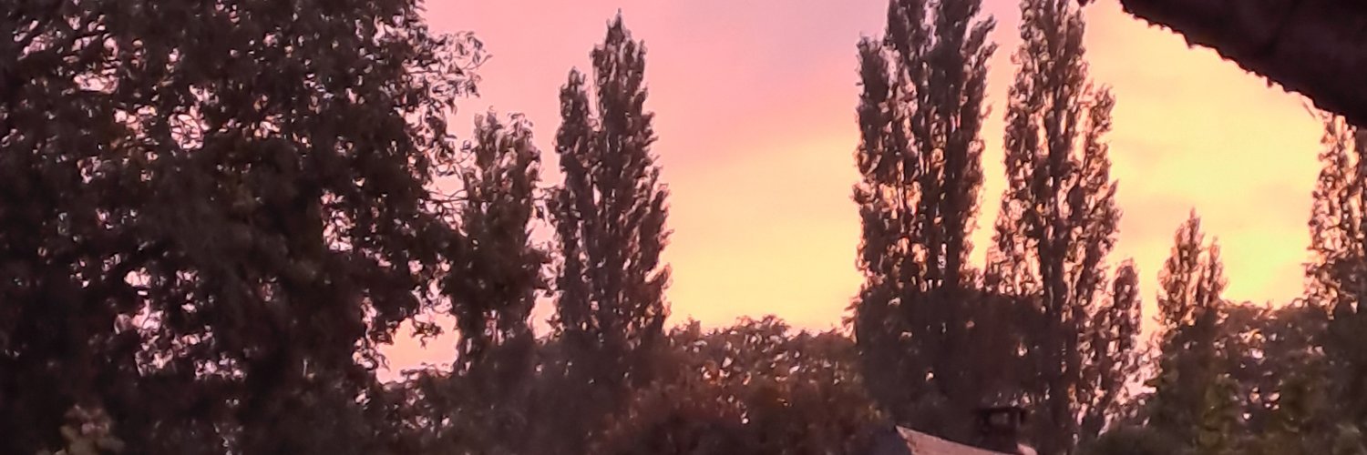 sagebooker (.bsky.social)'s banner