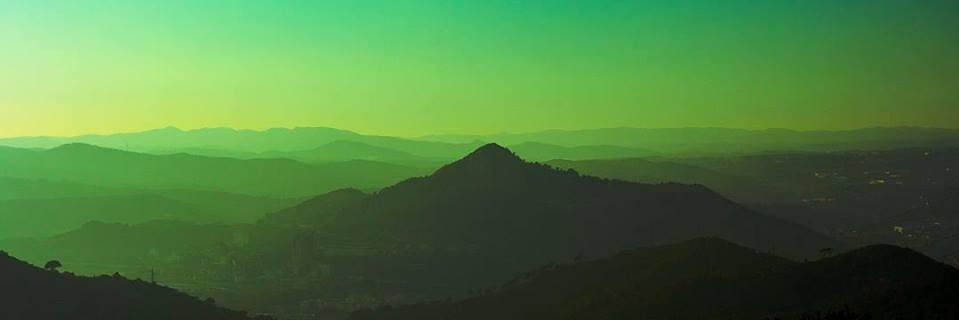vicmouse's profile banner image