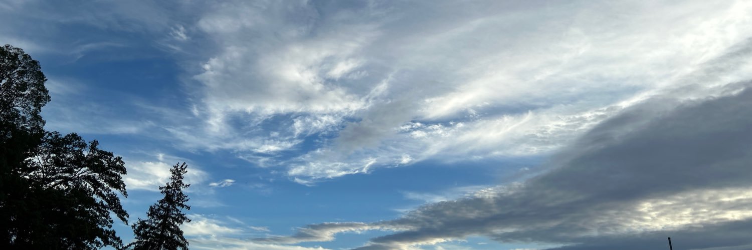 pellonpaa's profile banner image