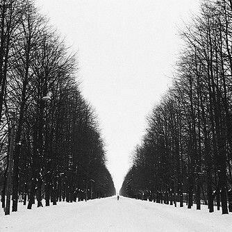 Amer Alahmaryi banner