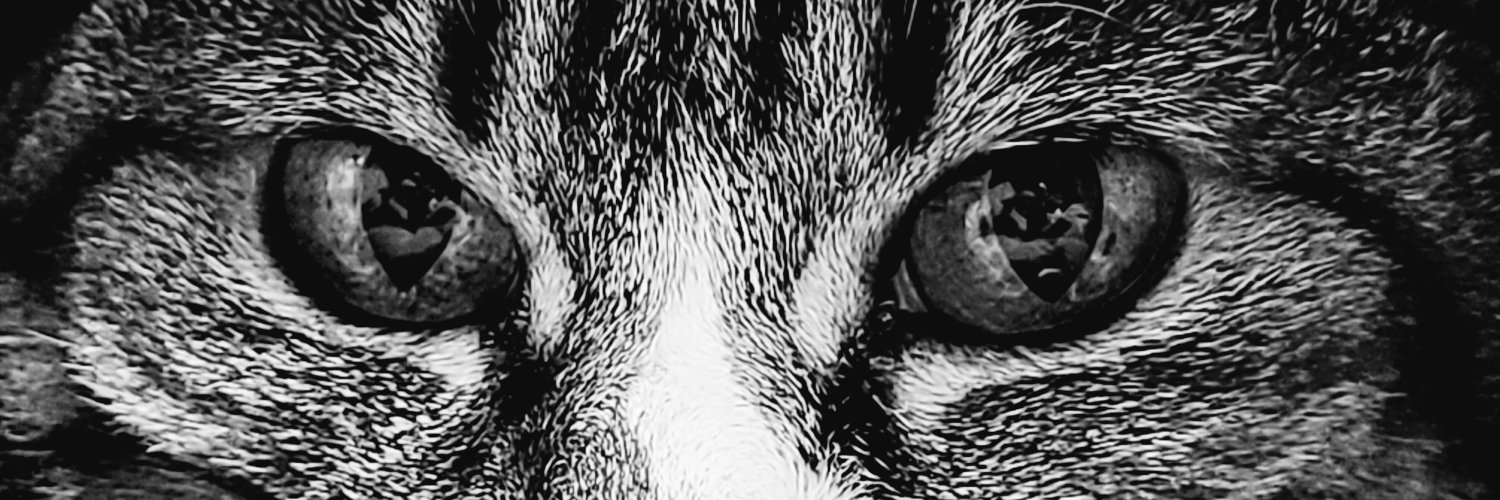 aroma_mk's profile banner image