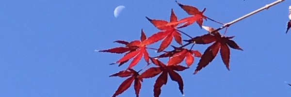 satosfo Profile Banner