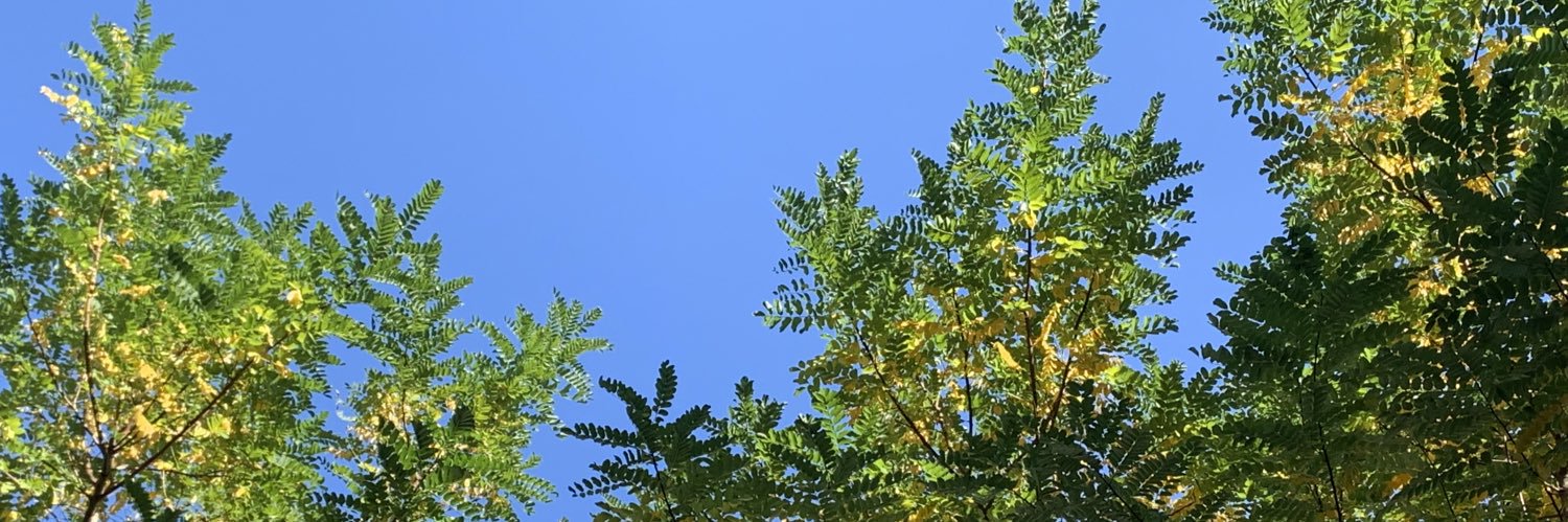 kzau's profile banner image