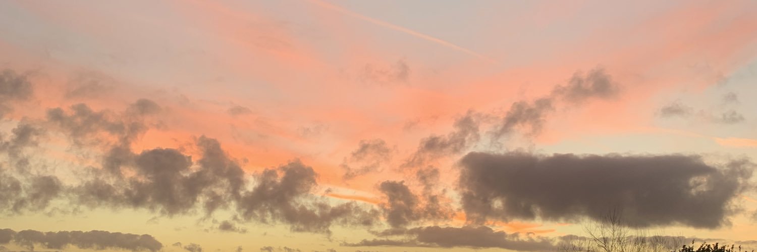 Laura Brosnan ✨ They / Them banner