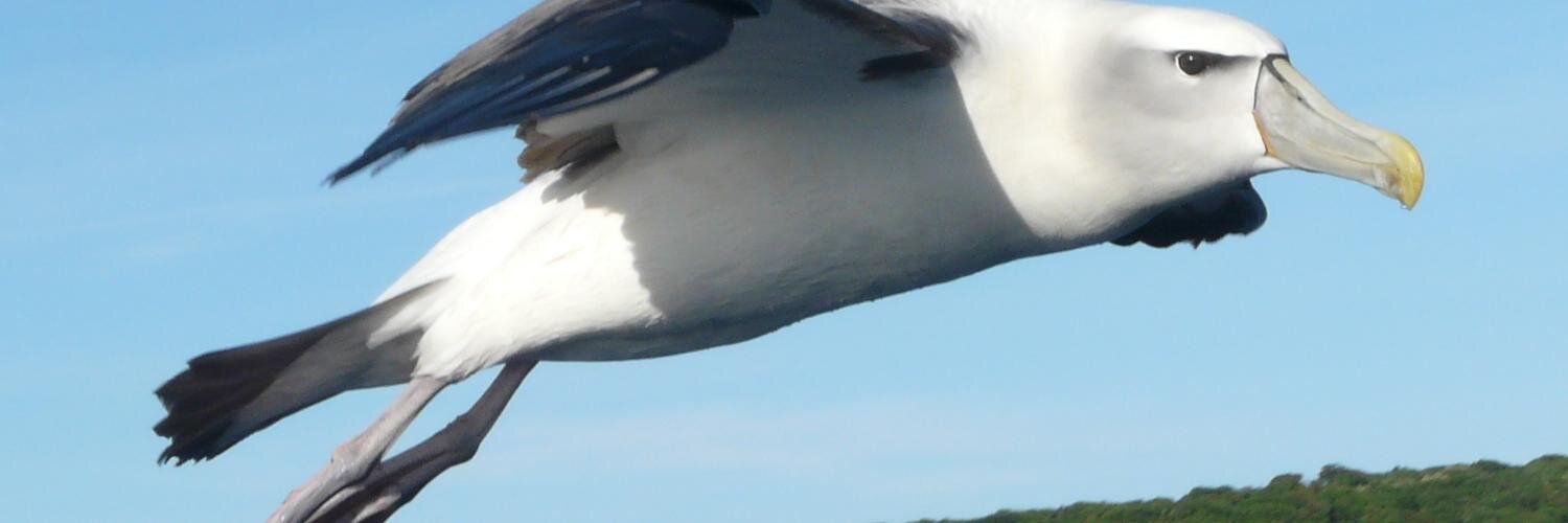 tabs41's profile banner image