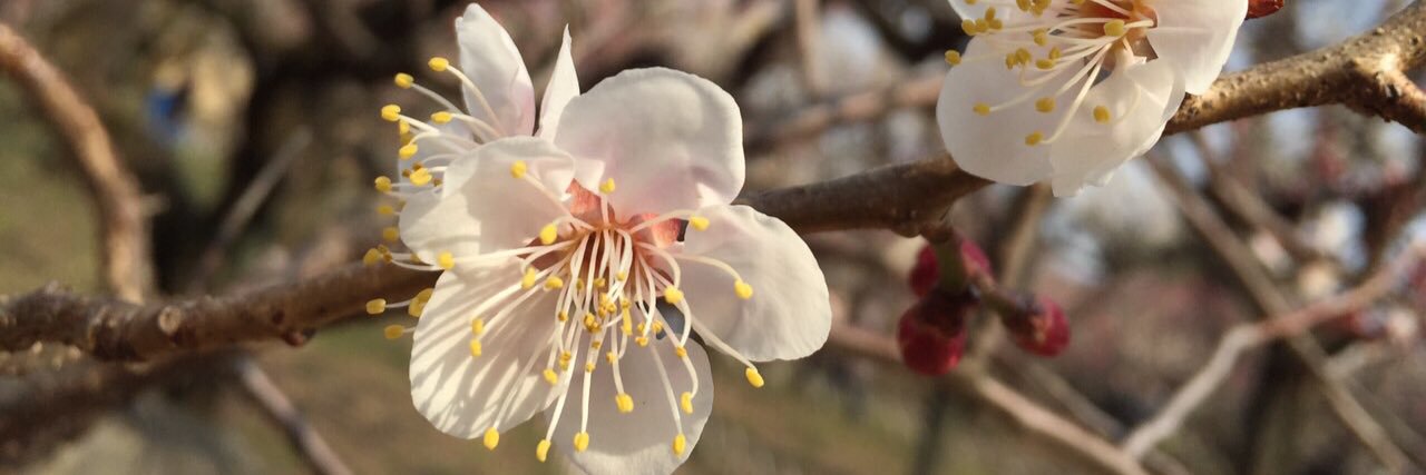 白川 洋📻蒲郡とモータースポーツ好きラジオDJ・ディレクター banner