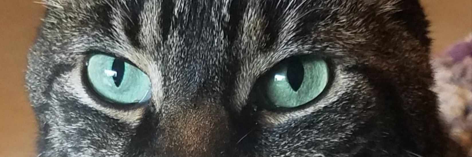 medohtw's profile banner image