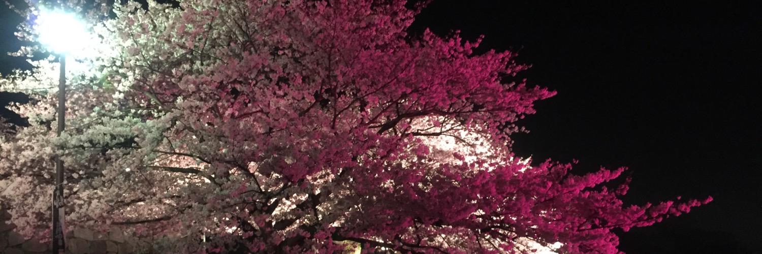 hazuki1208's profile banner image