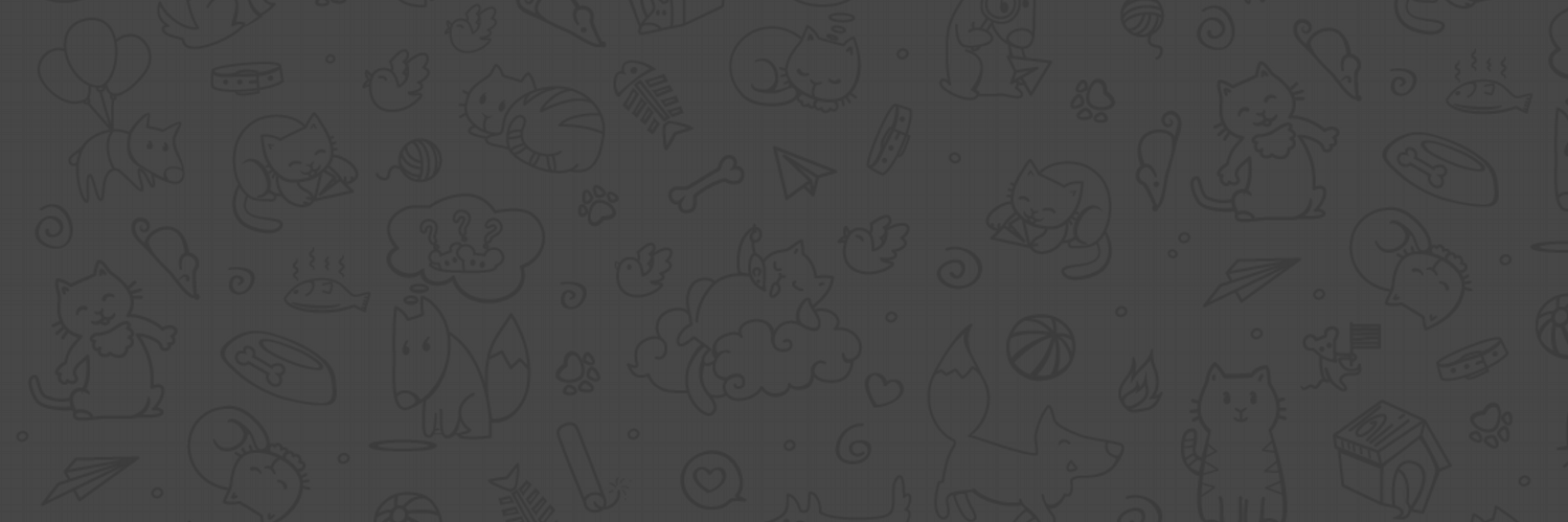 elcaconet's profile banner image