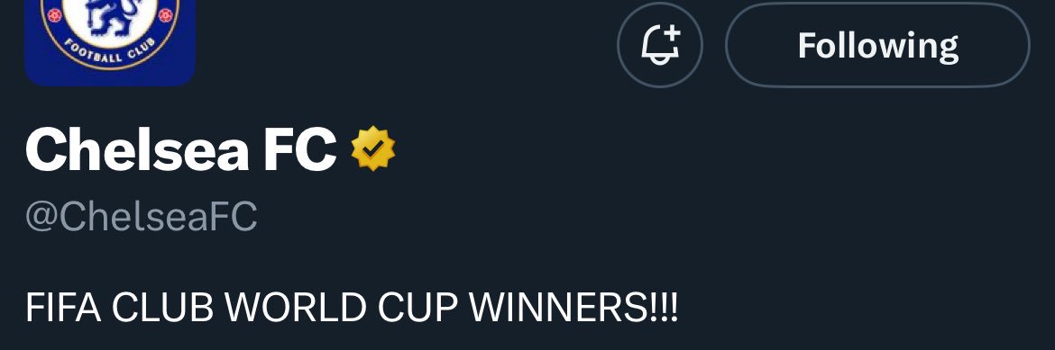 CamTweetsThings banner