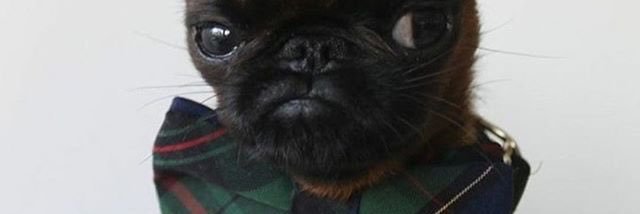 quianjackson's profile banner image