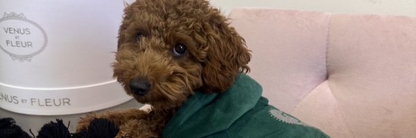 tysheerahh Profile Banner