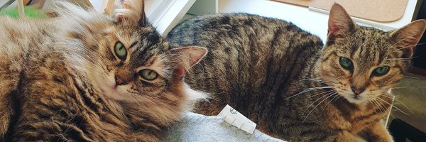 luucymuurphy Profile Banner