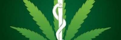 ivean420's profile banner image