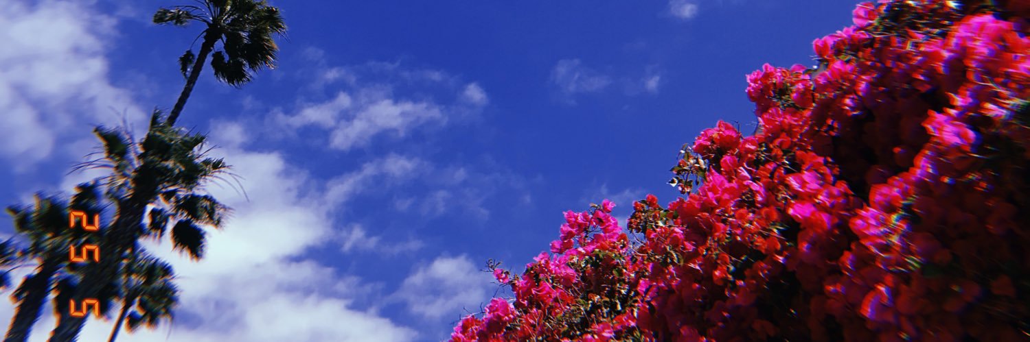 ay_lex_ay's profile banner image