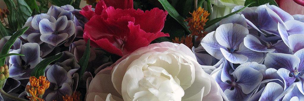 Morgaine's profile banner image