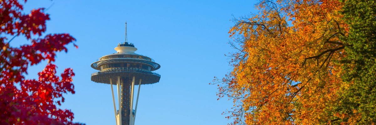 Shakakai's profile banner image