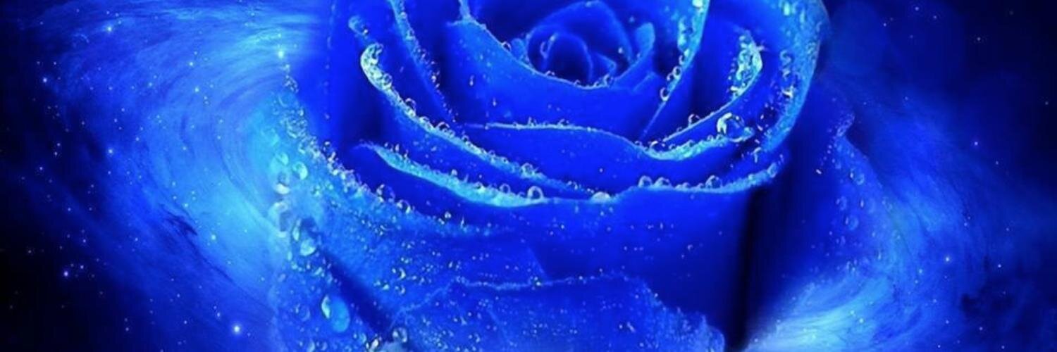 angelpanter's profile banner image
