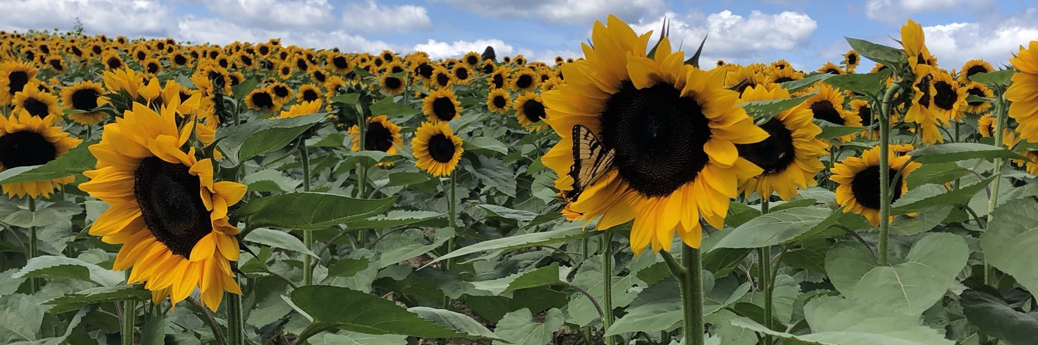 bbies_'s profile banner image