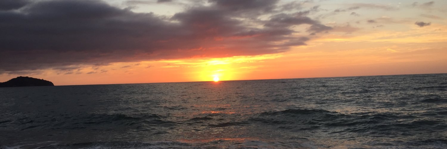 goguitto's profile banner image