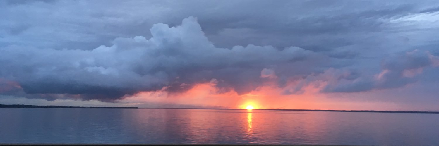 geneballard's profile banner image