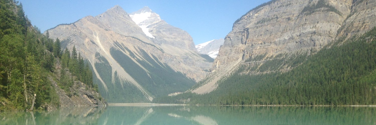 Mischa Steiner banner