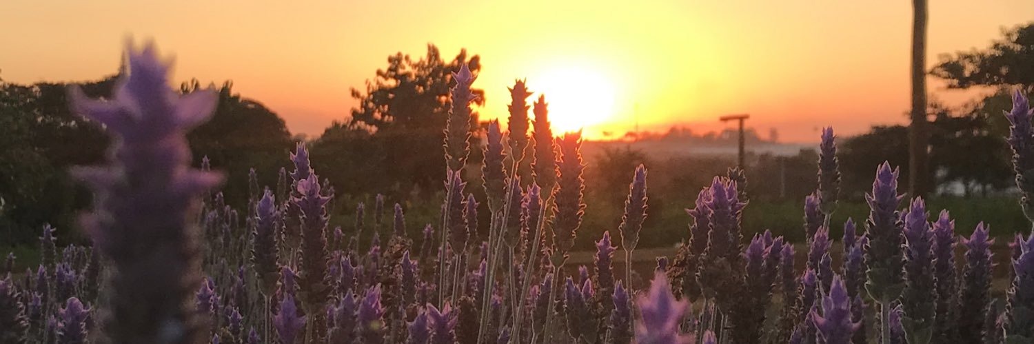 juminasc's profile banner image