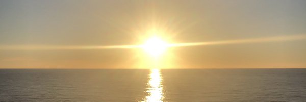 SpringerBell_ Profile Banner