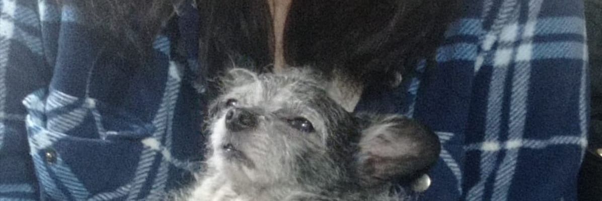 maryssabel's profile banner image