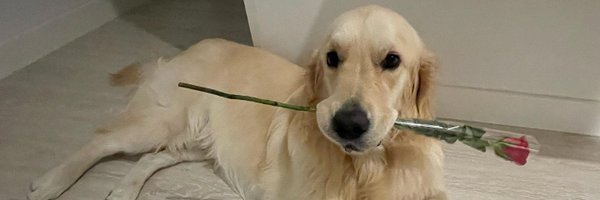 PaNaVTEC Profile Banner