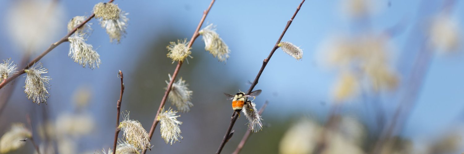 U of MN Extension banner