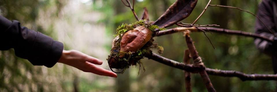 The Only Animal banner