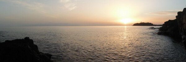 Lagrangiano Profile Banner