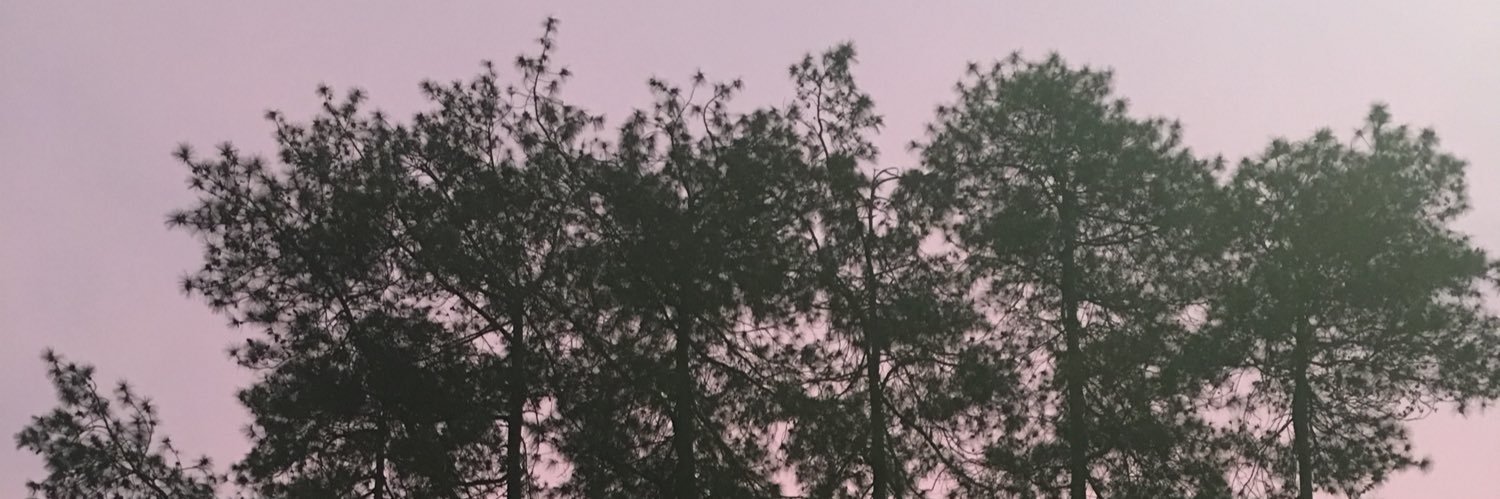 ardirakun's profile banner image