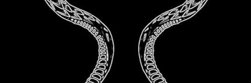 skiwlz's profile banner image