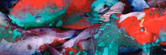 Raquichula's profile banner image