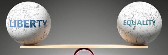 Counter Point banner