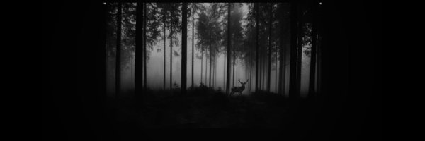 ees_maz Profile Banner