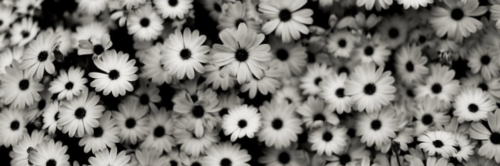 nicoleee_43's profile banner image