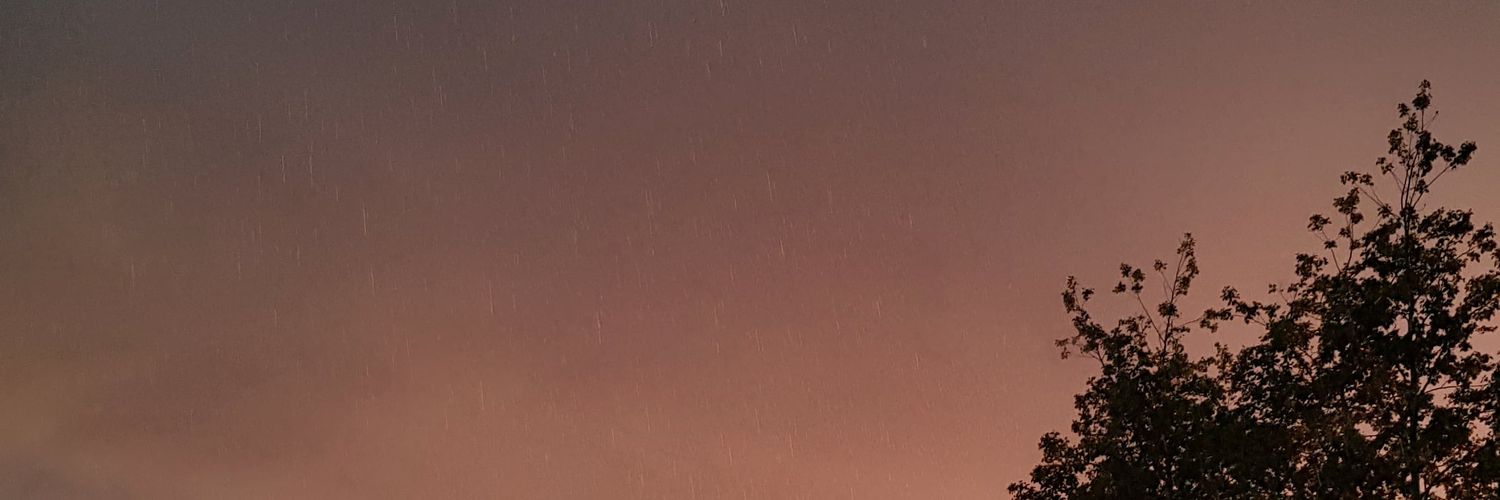 EmberAutumnRose's profile banner image