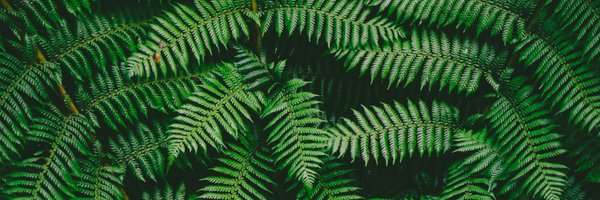 NotMyTypewriter Profile Banner