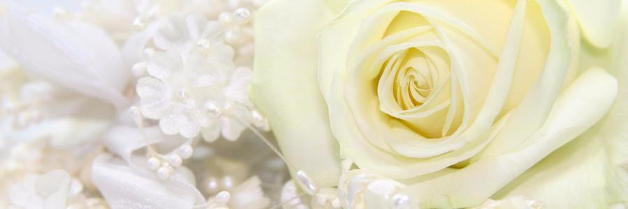 realresults's profile banner image